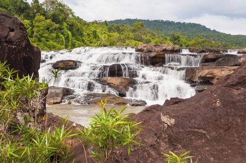 Cardamom Mountains