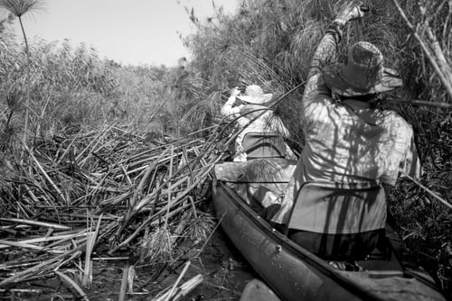 EXPEDITION-OKAVANGO-LEICA-2016-46 (1)