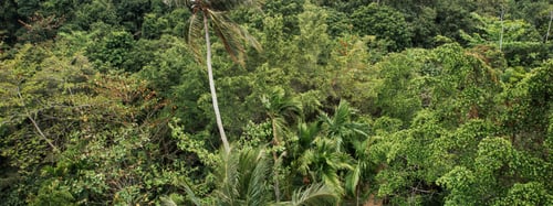 Finding The Slow Life In Singapore