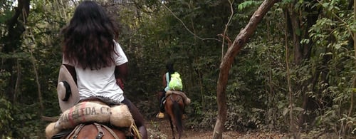 HORSEBACK RIDING THROUGH THE COLOMBIAN JUNGLE