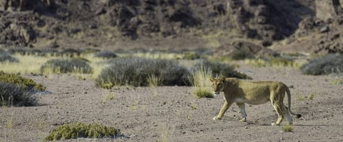 Namibia, Africa