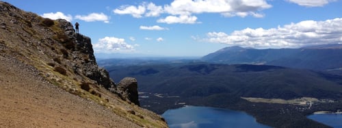 Running Wild In New Zealand