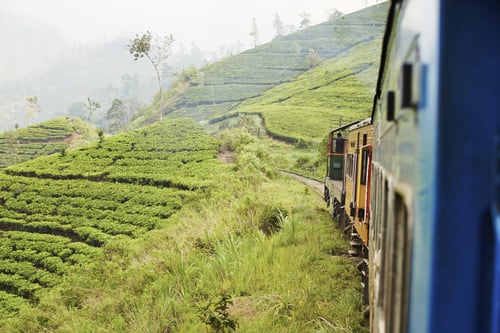 Sri-Lanka_Tea_Country_Train_iStock_000038535328_Large