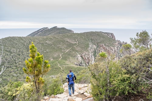 Tasmania editorial only