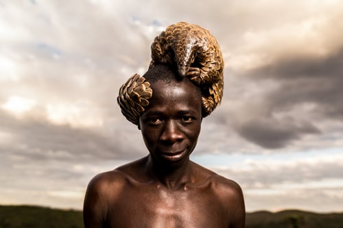 The Pangolin Men