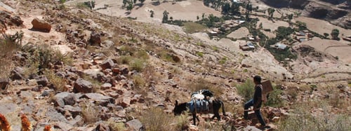 TREKKING IN THE ETHIOPIAN MOUNTAINS