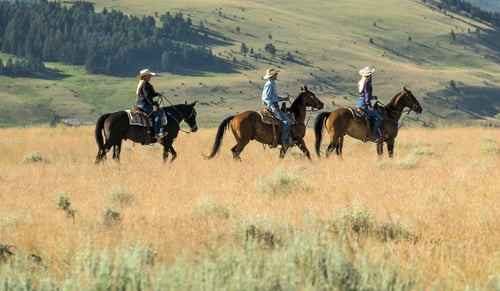 Best Luxury Ranches In The U.S.A