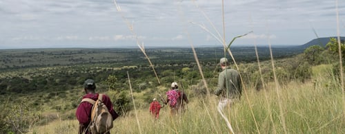 walking guides-maasai-mara