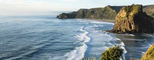 Piha Beach/ an overview of New Zealand's most famous west coast beach in late evening light