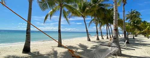 Relaxing hammock in a palm forest close-up, Beautiful white sandy beach