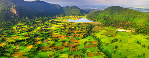 Aerial view of Ta Pa rice fields in Mekong Delta, Tri Ton town, An Giang province, Vietnam