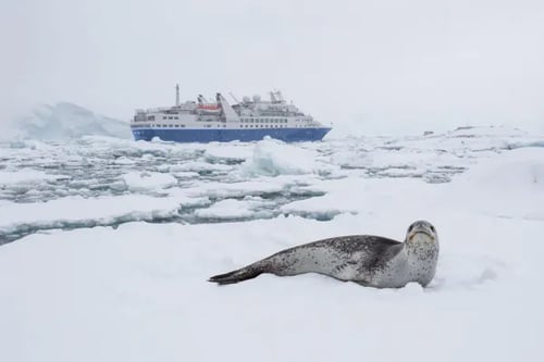 Discoverer Antarctica
