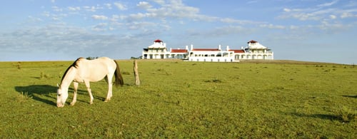 Estancia Vik with horse in the foreground, Luxury holidays to Uruguay.
