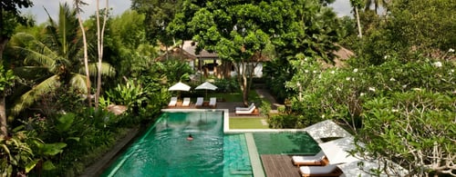 Tropical hotel pool at COMO Uma Ubud