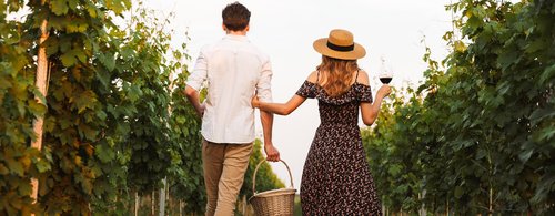 Back view of young cute loving couple outdoors drinking wine holding basket with bottles.