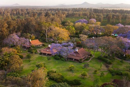 Legendary Lodge, Tanzania