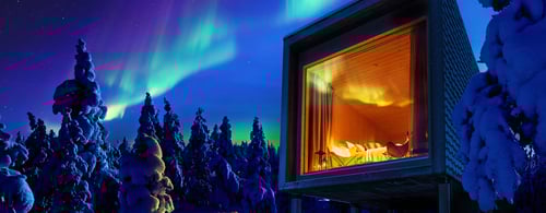 Arctic Treehouse