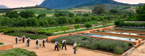 Babylonstoren_Kitchen Garden