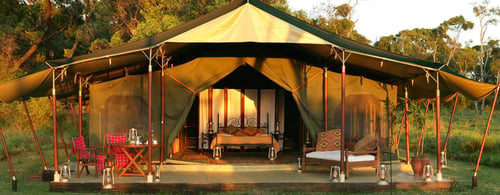 Elephant Pepper Camp