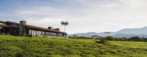One&Only-Nyungwe-House_Aerial-View_Tea-Garden