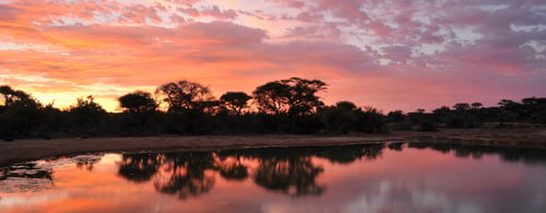 Savanna Private Game Lodge_Aerial View