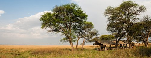 Serengeti Safari Camp_Exterior View_Dusk