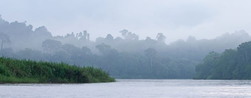 Sukau Rainforest Lodge_River