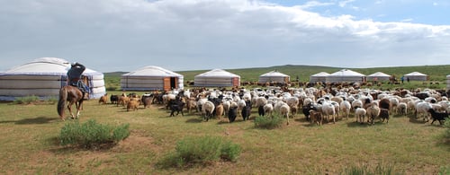 Sweet-Gobi-Geolodge_Exterior Camp1