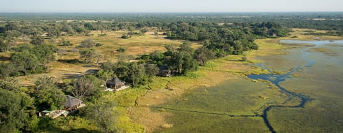 Vumbura Plains Camp