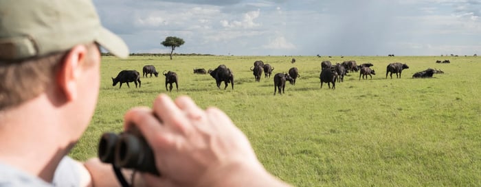  ? Luxury tailormade African safari 