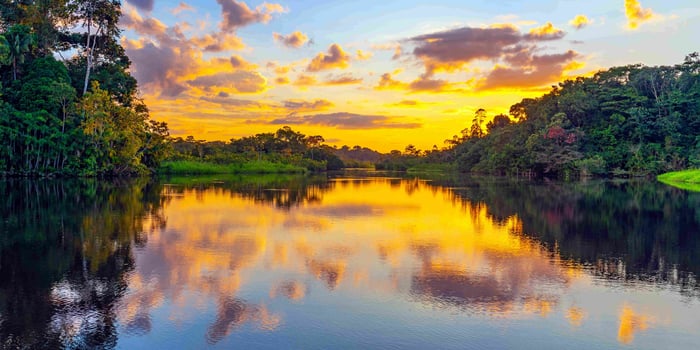  ? View of Amazon river and rainforest in Ecuador at sunset 