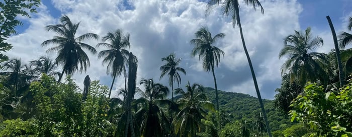  ? Jungle landscape in Colombia's Tayrona National Park 