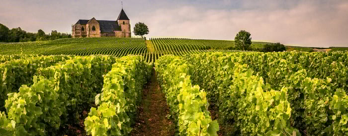  ? French vineyard and chateu in the distance 