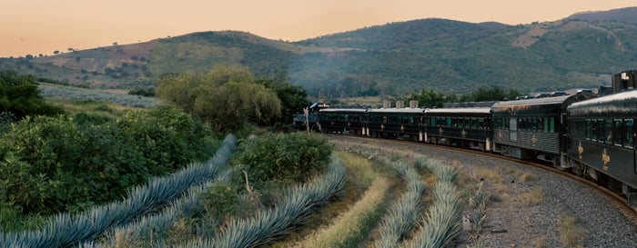 A train driving past an agave plantation