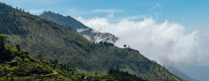 Hill Country tea plantations in Sri Lanka