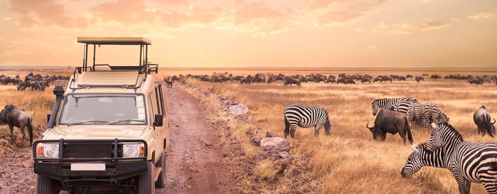 A game drive safari, Kenya's Maasai Mara National Park.