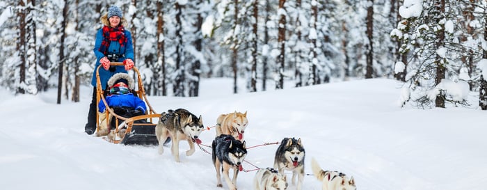 Husky dogs are pulling sledge with family at winter forest in Lapland Finland