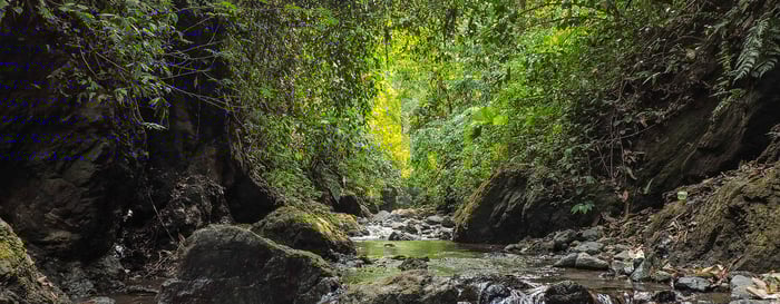 Corcovado National Park