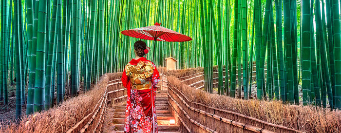 Asian woman wearing japanese traditional kimono at Bamboo Forest in Kyoto, Japan.