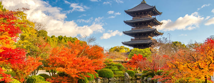 Kyoto, Japan at Toji Pagoda and lake in Autumn