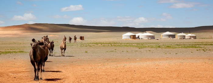 Mongolia_Gobi Desert_Camel