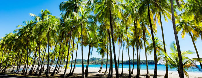 alms at the beach in Puerto Carrillo, Costa Rica in opposite light. Pacific Coast on the Peninsula Nicoya