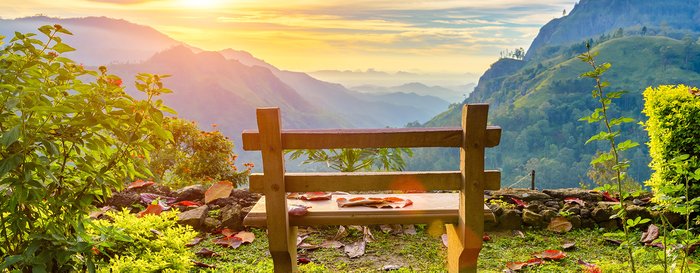 A bench with a view of the beautiful mountain valley at dawn. Ella, Sri Lanka