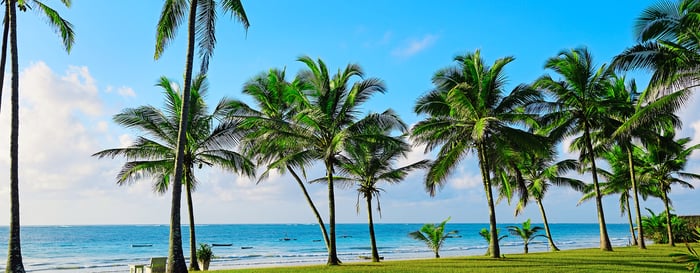 Beautiful tropical coast of Diani in Kenya