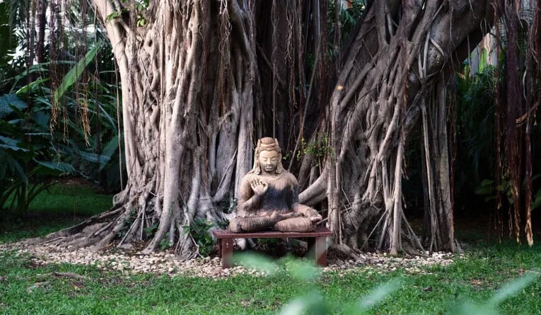 Buddist statue under a banyan tree