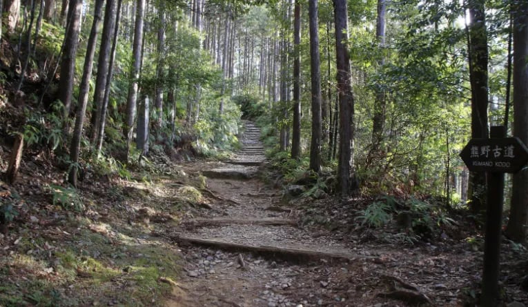 Hiking in Kumano Kodo, Japan