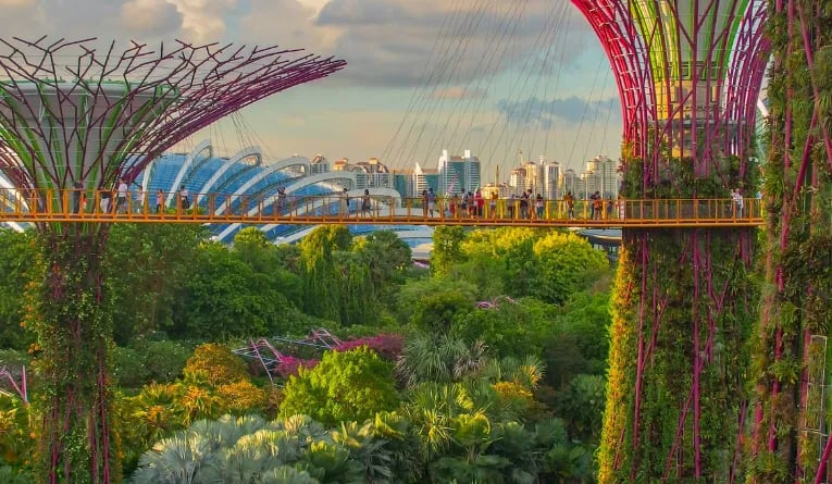 Walking gardens in Singapore