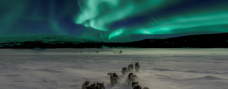 Huskies pulling a sled with the Northern Lights overhead in Finland