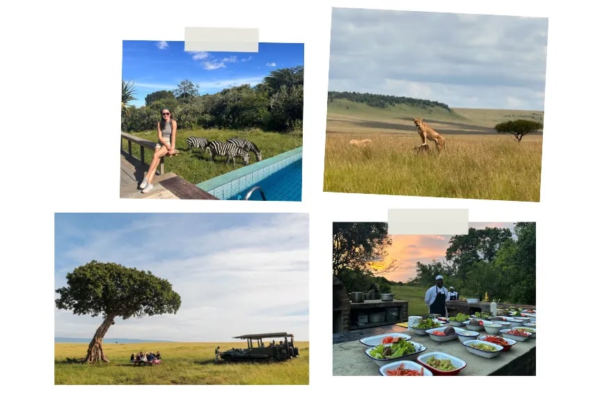 collage of massai mara safari