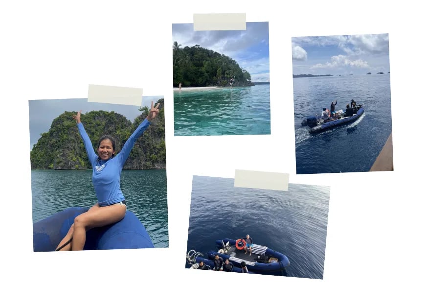 Collage of Diving and water based activities in Raja Ampat